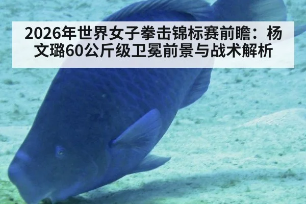 2026年世界女子拳击锦标赛前瞻：杨文璐60公斤级卫冕前景与战术解析