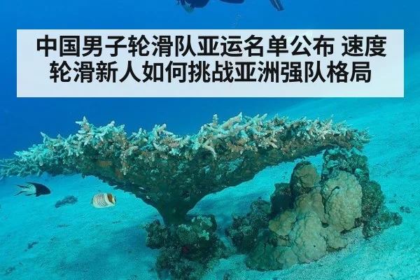 中国男子轮滑队亚运名单公布 速度轮滑新人如何挑战亚洲强队格局
