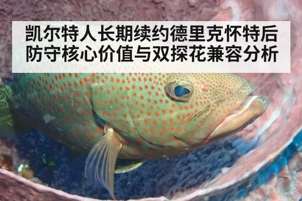 凯尔特人长期续约德里克怀特后防守核心价值与双探花兼容分析
